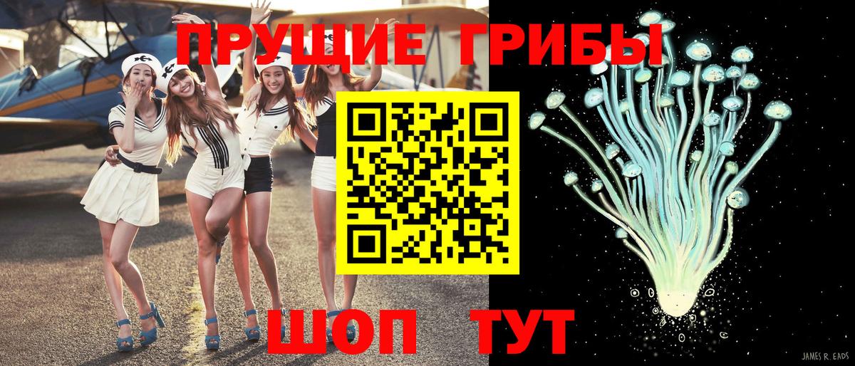 Псилоцибиновые грибы Magic Shrooms  Вход с VPN  Сибай 