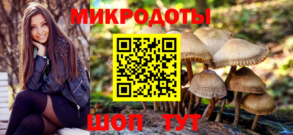 Галлюциногенные грибы Cubensis Сибай